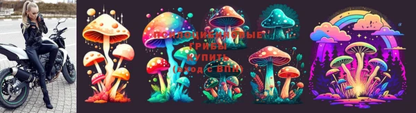 гидра Алексеевка
