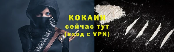 дживик Саяногорск