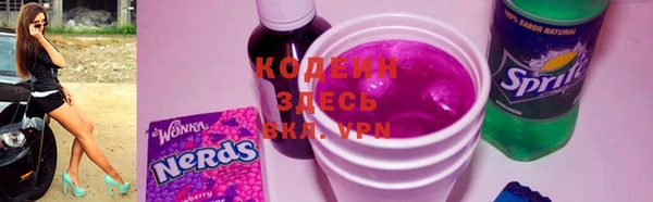 PSILOCYBIN Алзамай