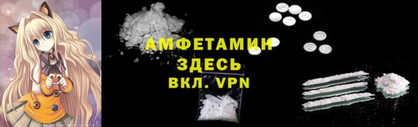 PSILOCYBIN Алзамай