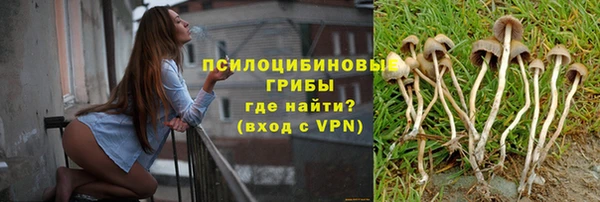 бутират Алексин
