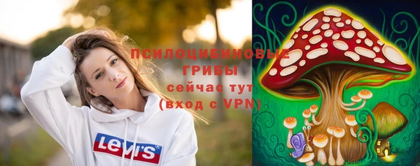 PSILOCYBIN Алзамай