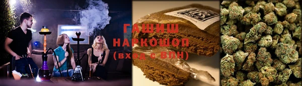 PSILOCYBIN Алзамай