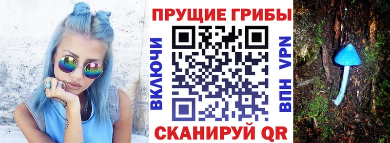Галлюциногенные грибы мицелий  МЕГА как войти  Большой Камень 